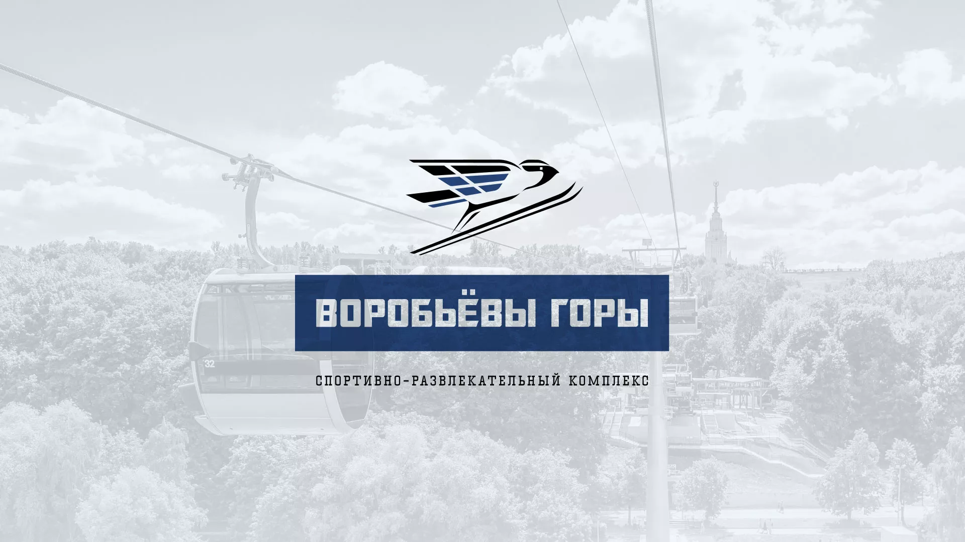 Разработка сайта в Лысково для спортивно-развлекательного комплекса «Воробьёвы горы»